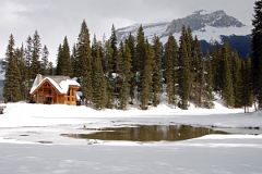 39 Cilantro On The Lake At Emerald Lake With Mount Wapta Behind In Yoho In Winter